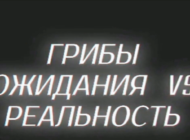 Галлюциногенные грибы - ожидания - реальность